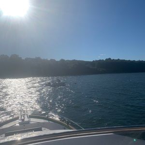 Meet your Posher, Avery